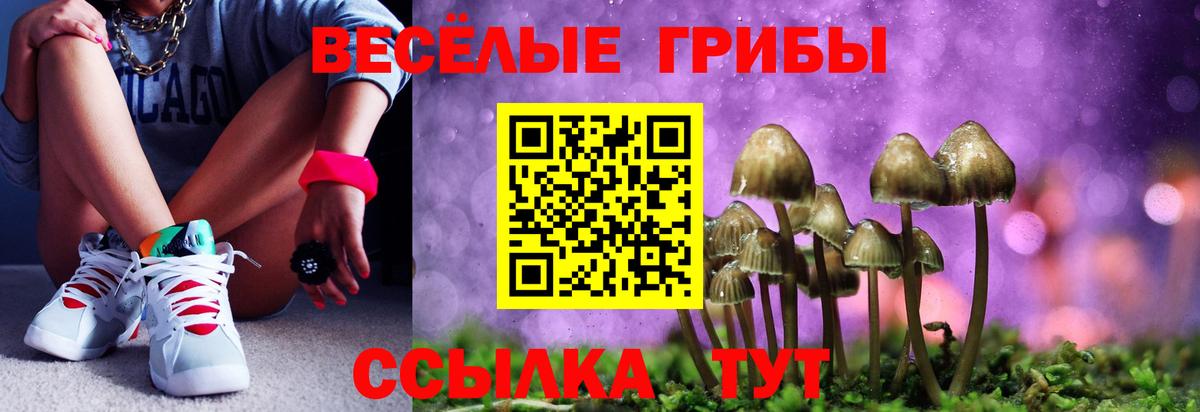 Галлюциногенные грибы прущие грибы Аргун