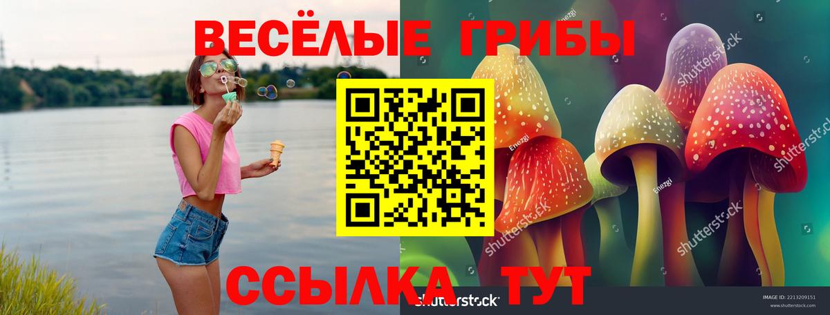 Псилоцибиновые грибы ЛСД  Вход с VPN  купить наркотики цена  Аргун 